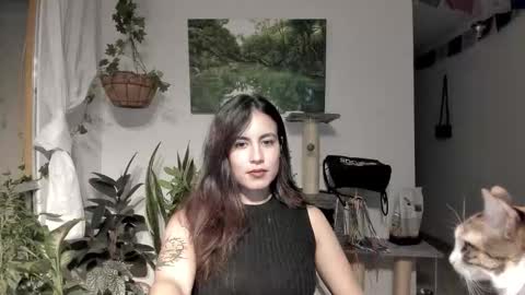         online show from February 6, 1:54 am