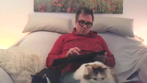 Sexurbation online show from February 24, 7:56 pm