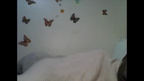 Ann online show from November 22, 3:49 am