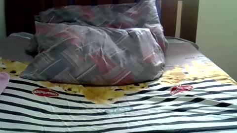 Snapshot of sexy_bee5 chatting on November 9, 11:41 am squirt lola online show from November 9, 11:41 am