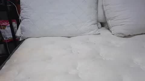 sexystephanie04 online show from April 13, 10:26 pm