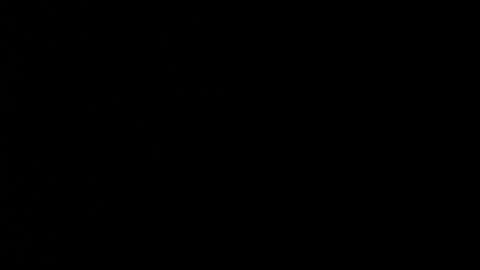 shaidy_scott online show from June 2, 2:57 am