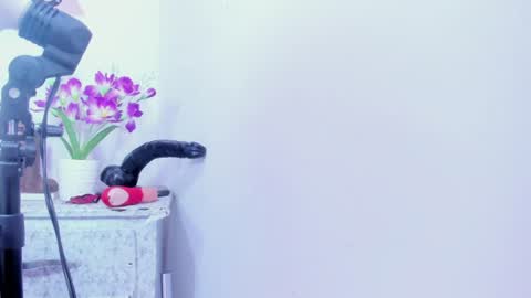 shalomexotic online show from August 1, 11:53 am