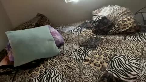 Snapshot of shamanwoman chatting on December 6, 11:57 pm Shaman Woman online show from December 6, 11:57 pm