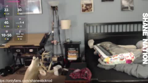 Snapshot of shanestickrod chatting on November 18, 4:50 am shanestickrod online show from November 18, 4:50 am