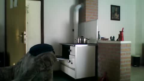 Snapshot of shaomy711 chatting on December 22, 9:44 am excelo21 online show from December 22, 9:44 am