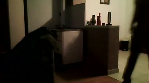 Snapshot of shaomy711 chatting on January 14, 7:00 pm excelo21 online show from January 14, 7:00 pm