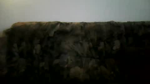 Snapshot of shaomy711 chatting on February 2, 2:13 pm excelo21 online show from February 2, 2:13 pm