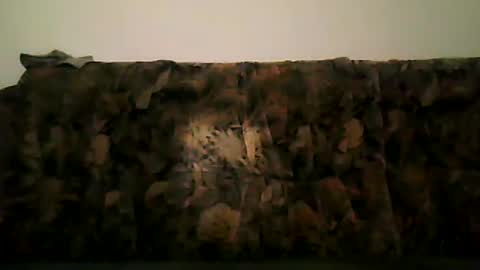 Snapshot of shaomy711 chatting on February 13, 7:21 pm excelo21 online show from February 13, 7:21 pm