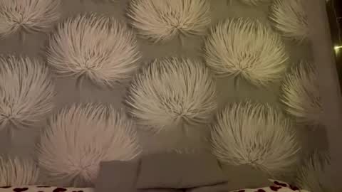 Alica online show from January 11, 8:03 pm