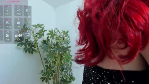 Shego  online show from December 19, 12:50 am