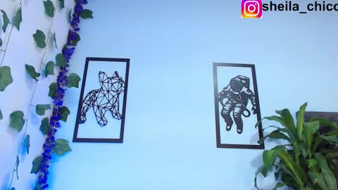 Snapshot of sheila_bigcok chatting on February 26, 2:25 pm SHEILA  online show from February 26, 2:25 pm