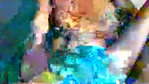 shelly online show from May 24, 9:09 pm
