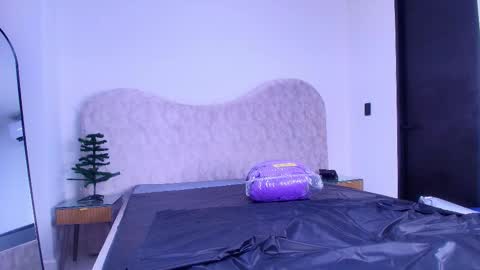 Shelsy online show from December 3, 11:52 am