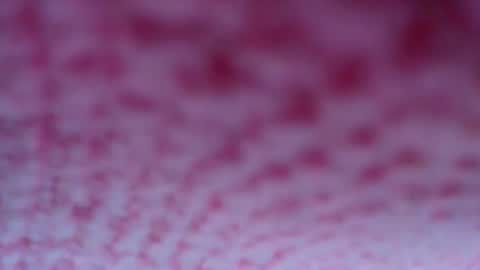 shelsyzevee_ online show from October 23, 4:50 pm