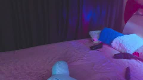 Sher online show from November 21, 10:41 pm