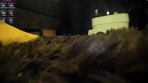 Shinigamidoll see you soon   online show from March 7, 2:15 am