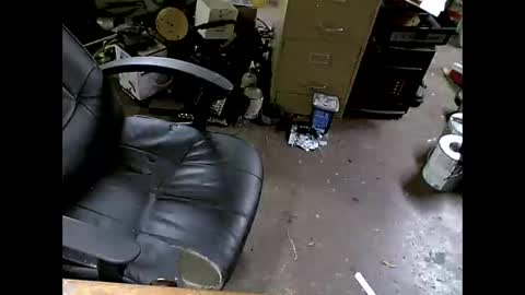 Shoani online show from November 8, 7:41 am