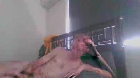 JustAbitCheeky online show from December 20, 12:40 am