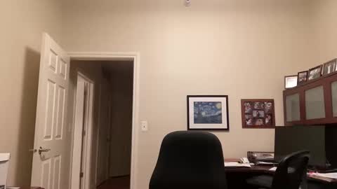 Snapshot of showmet chatting on February 16, 4:31 am Chicago Guy online show from February 16, 4:31 am