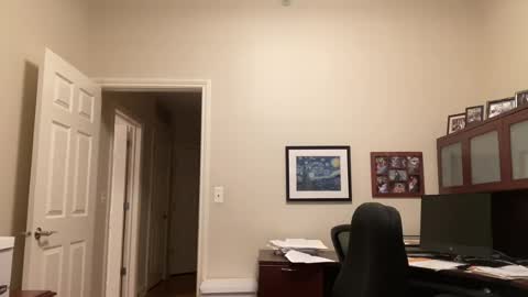 Chicago Guy online show from July 18, 3:33 am