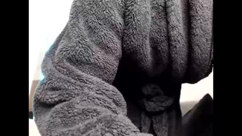 Sheril  online show from March 6, 6:48 pm