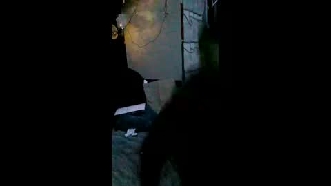 shylom online show from February 15, 5:26 am