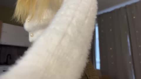 Aurora online show from October 12, 6:23 am