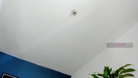 silvabranko online show from October 26, 10:04 pm