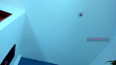 silvabranko online show from November 9, 11:03 pm