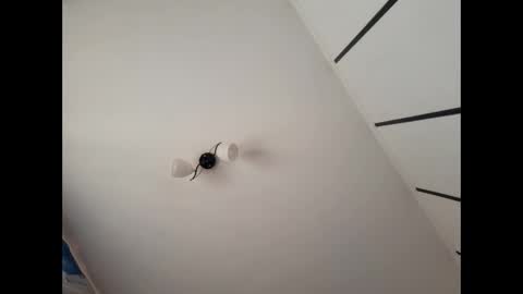 simpledi online show from March 10, 7:42 am