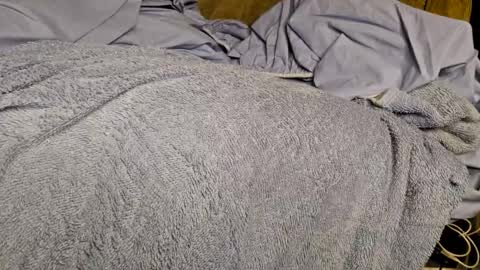 Snapshot of sinseason chatting on December 3, 9:22 am Sinseason online show from December 3, 9:22 am