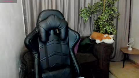 Sinty Noria online show from February 12, 4:33 am