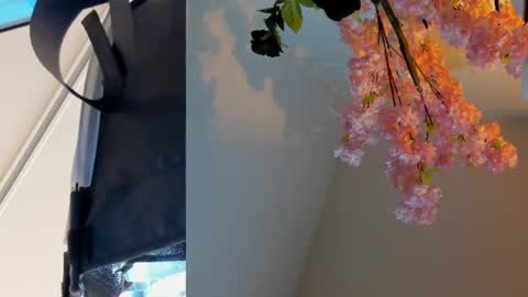 Siouxsie online show from June 24, 11:09 am