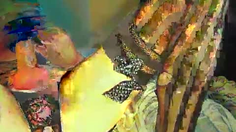 Sir Loin online show from February 20, 5:07 pm