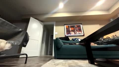 Snapshot of sissyinheelsbbc chatting on November 9, 2:21 am sissyinheelsbbc online show from November 9, 2:21 am