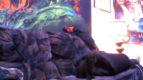 Snapshot of six_will_do chatting on January 4, 5:05 am Jimmy B online show from January 4, 5:05 am