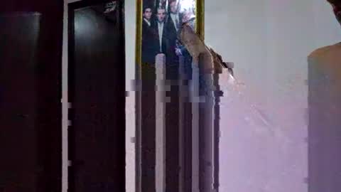 miguel online show from March 9, 5:17 pm