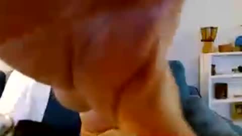 woodson online show from July 6, 3:25 am