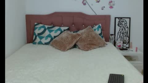 Snapshot of skinny_hailey1 chatting on January 6, 8:24 am Hailey online show from January 6, 8:24 am