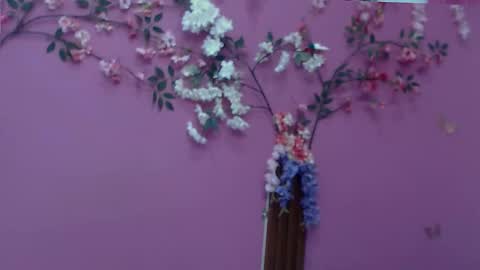 Snapshot of skinnybarbie022 chatting on December 2, 12:49 am barbi online show from December 2, 12:49 am