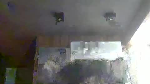skinnykittencam online show from January 17, 3:44 am