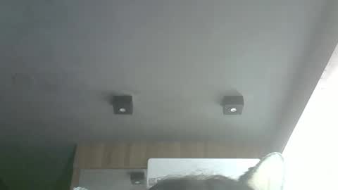 skinnykittencam online show from March 29, 4:34 am