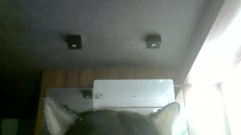 skinnykittencam online show from June 1, 4:20 pm