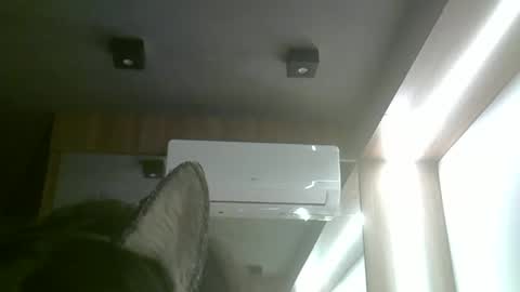 skinnykittencam online show from June 3, 5:51 pm