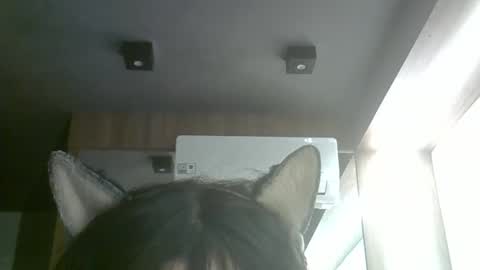 skinnykittencam online show from June 5, 3:51 pm