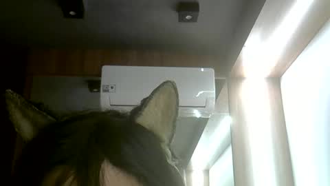 skinnykittencam online show from June 7, 5:38 pm