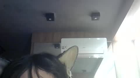 skinnykittencam online show from June 11, 12:54 am