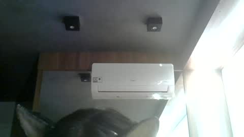 skinnykittencam online show from June 15, 8:33 pm