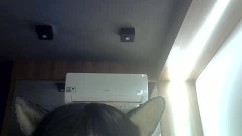 skinnykittencam online show from June 16, 8:50 am